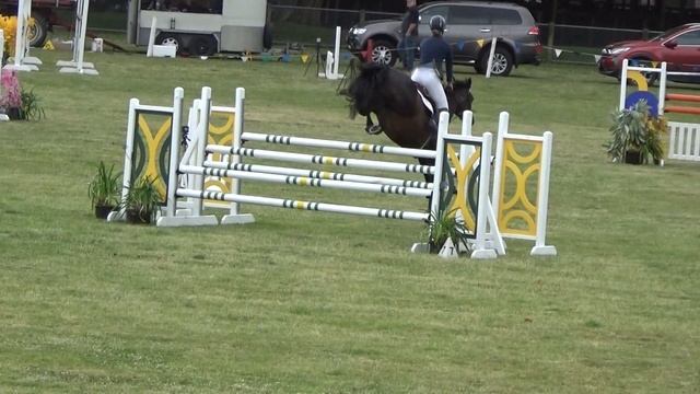 La Perla - C&S HB Jumping Show Jan 2020 смотреть онлайн