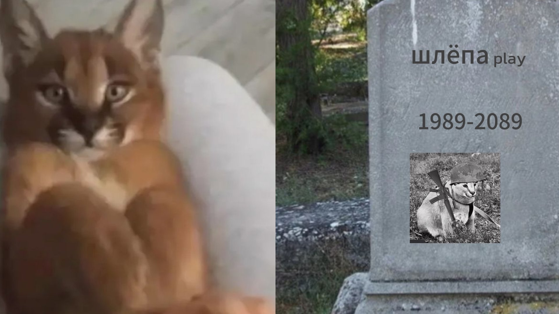 шлёпа play от рождения до смерти смотреть онлайн