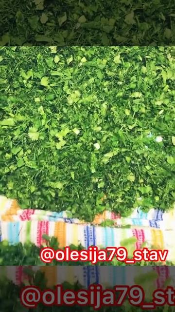 ЗЕЛЕНЬ В БУТЫЛКЕ смотреть онлайн