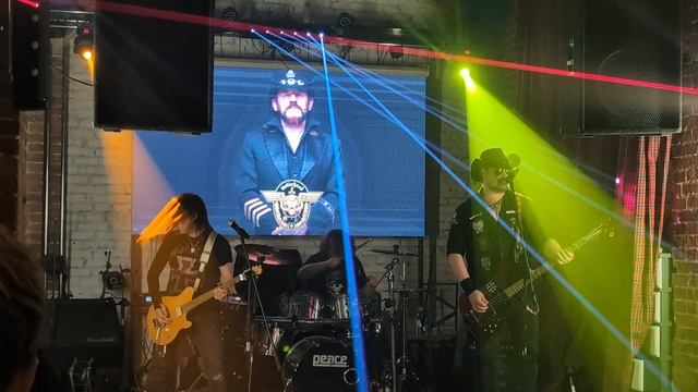 Tomcat смотреть онлайн