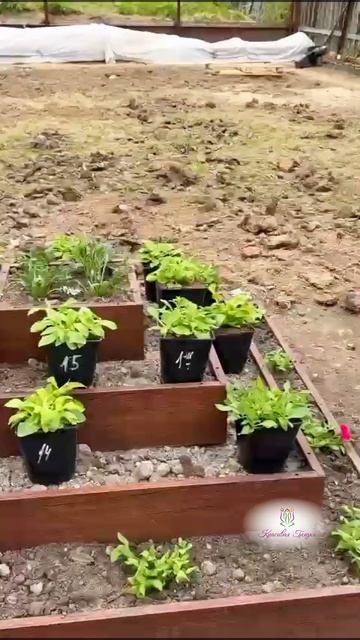 Трехъярусная клумба - идеальный способ украсить ваш сад! 😍 смотреть онлайн