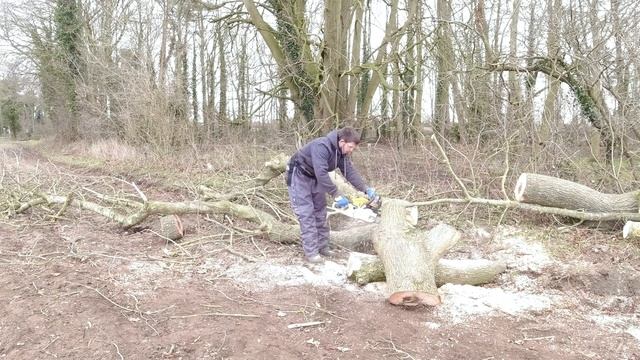 The result of storm Eunice (FALLEN TREE!) Tree to firewood process смотреть онлайн