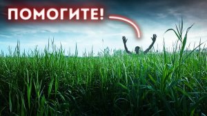 Человек исчез среди бела дня _ что произошло на том поле_(1080P_HD)