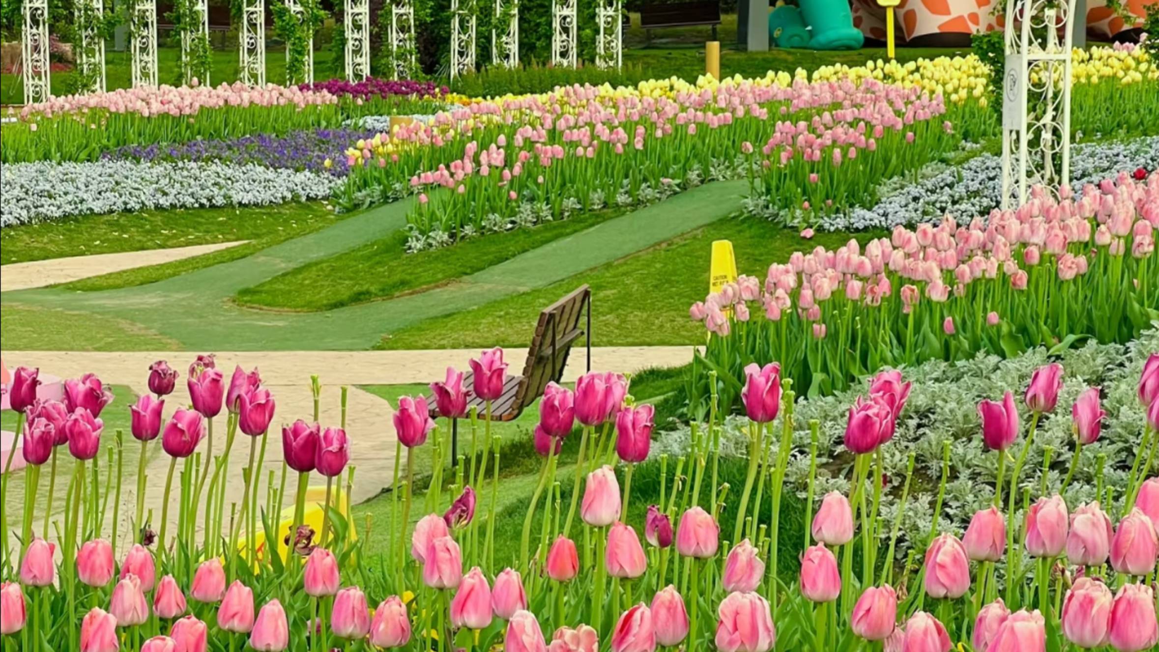 КАКАЯ КРАСИВАЯ ВЕСНА В КИТАЕ НАСЛАЖДЕНИЕ ПРИРОДОЙ ПУТЕШЕСТВИЯ И ВЗГЛЯД ИЗНУТРИ #китай #путешествия