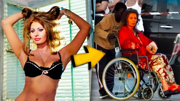 Время беспощадно: Красотке Софи Лорен 90 лет! Что с ней стало: Трагедии и успехи актрисы