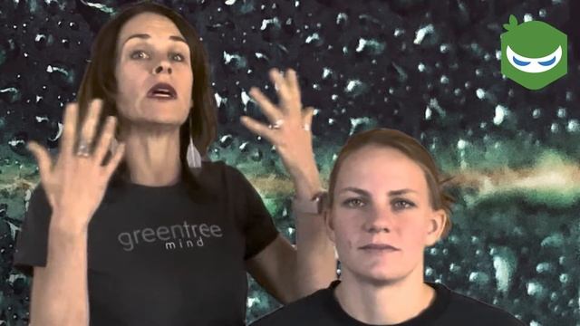 Salamander Exercise 1