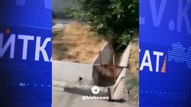 #САЙТКАСАЯКАТ: ЧӨП ОРУЛМАЙЫНЧА ЭКЗАМЕНГЕ КИРБЕЙСИҢЕР! МИНИСТРЛИК БУЛ БОЮНЧА ЭМНЕ ДЕЙТ? смотреть онлайн