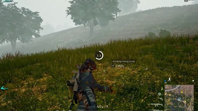 The luck of Dub that led to a Chicken Dinner смотреть онлайн