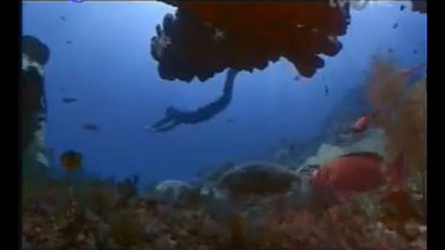 TvOne Djarum Black смотреть онлайн