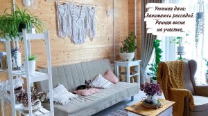 Уютная дача: Занимаюсь рассадой. Ранняя весна на участке.