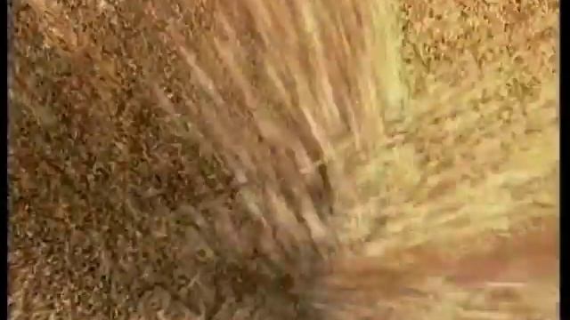 Корп. фильм "Мельница XXI века" - перебивка смотреть онлайн