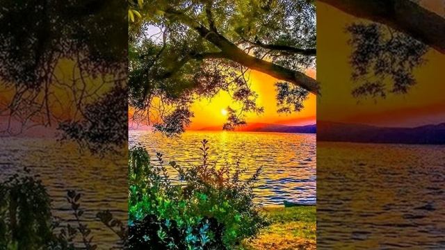 31 августа 2019 г.(3) смотреть онлайн
