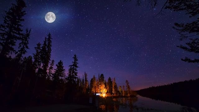 Forest Under a Starry Night Sky | Music, Nature & Ambience смотреть онлайн