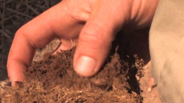 poop spitting kids.mov смотреть онлайн