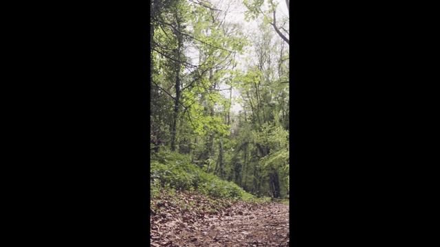 Музыка 2025 г