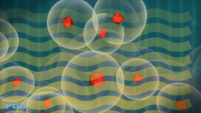Methods for Determining Atomic Structures: NMR Spectroscopy (from PDB-101) смотреть онлайн