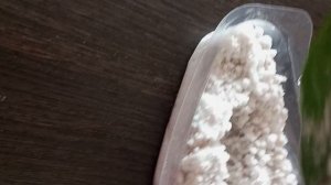 Как вырастить несколько клубней замиокулькаса из одного листа