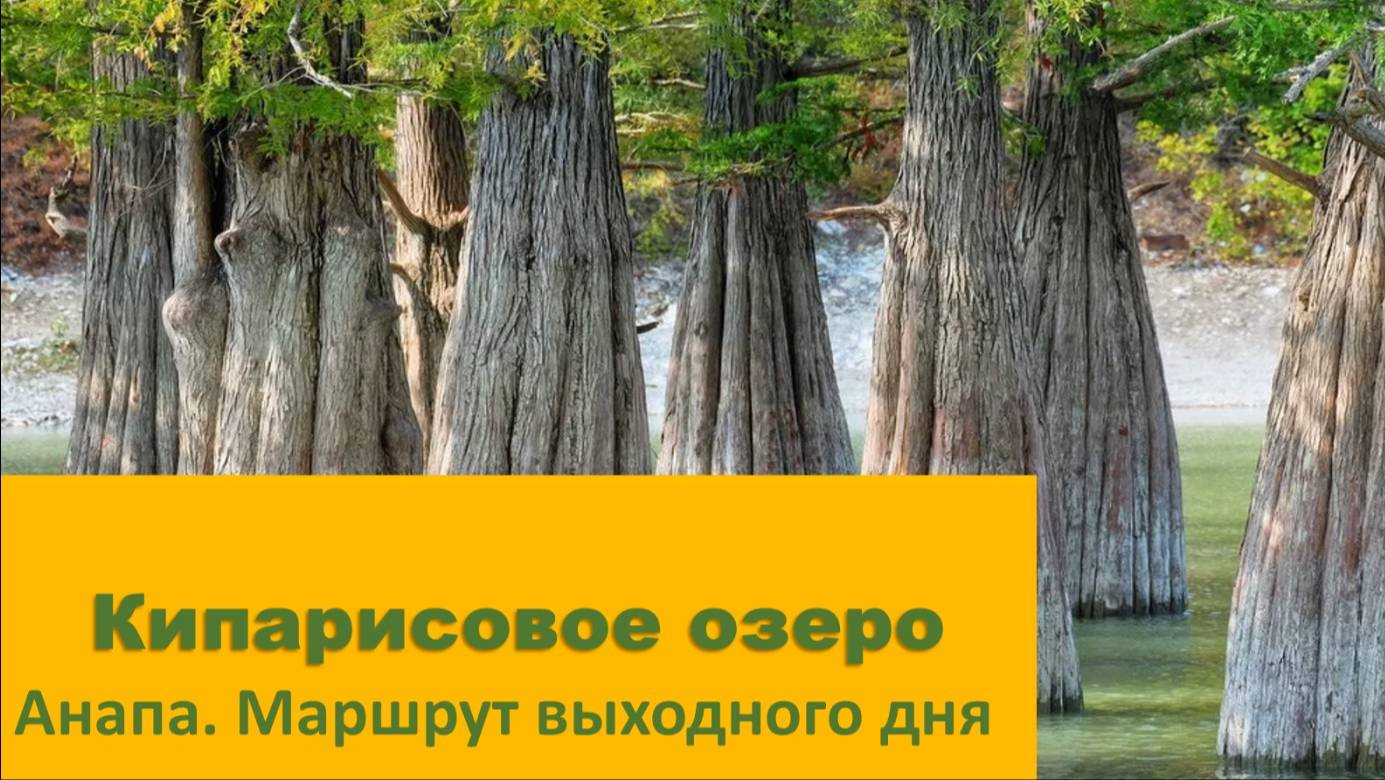 Кипарисовое озеро в Анапе смотреть онлайн