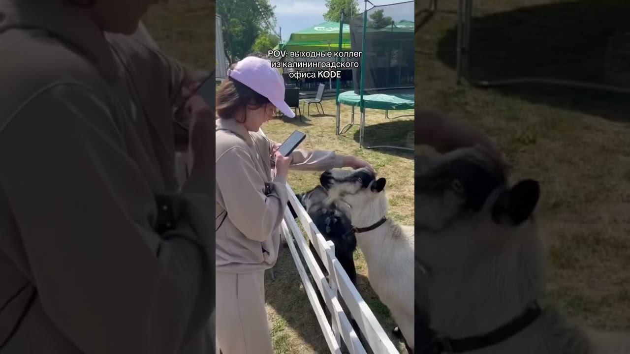 Впереди выходные, проведи их также активно, как это делают кодеры