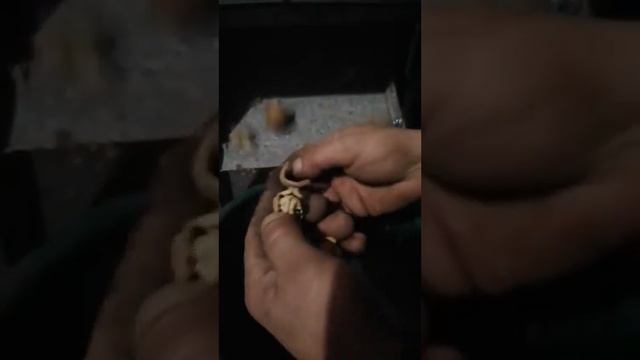 Орехокол конусный своими руками , под заказ 0664081547 смотреть онлайн