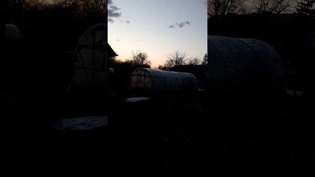 Органическое земледелие. Подготовка материалов для грядок. смотреть онлайн