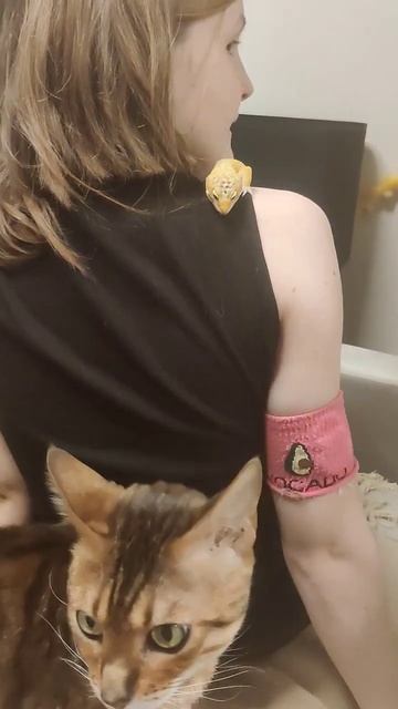 #эублефар #бенгал смотреть онлайн