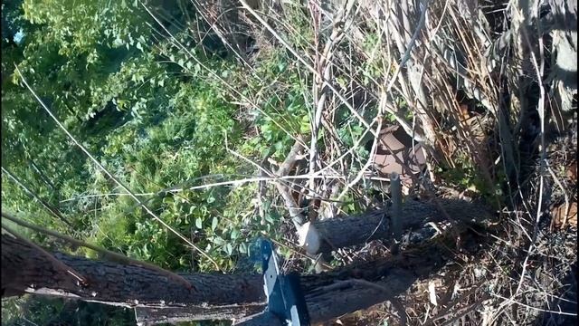 Дело было вечером