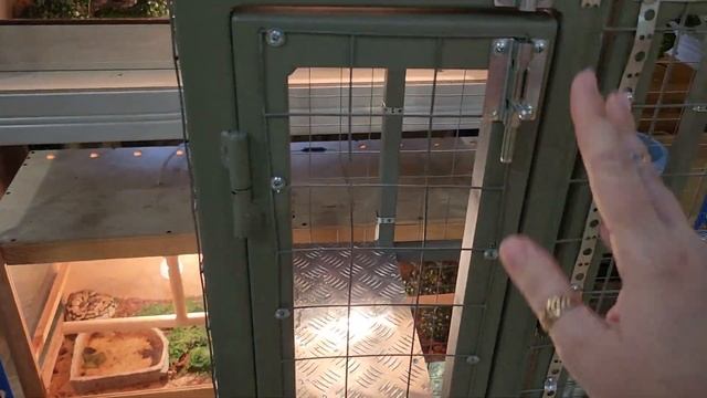 Обезьянка Вася переезжает. смотреть онлайн