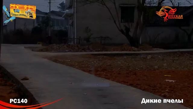 Дикие пчелы смотреть онлайн