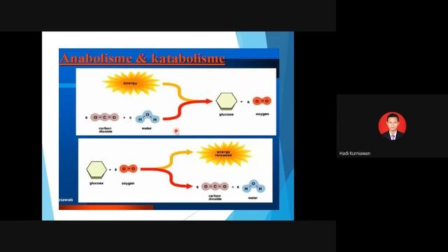 Biokimia Farmasi: Pengantar Metabolisme, Jalur Metabolisme dan Pencernaan Makanan смотреть онлайн