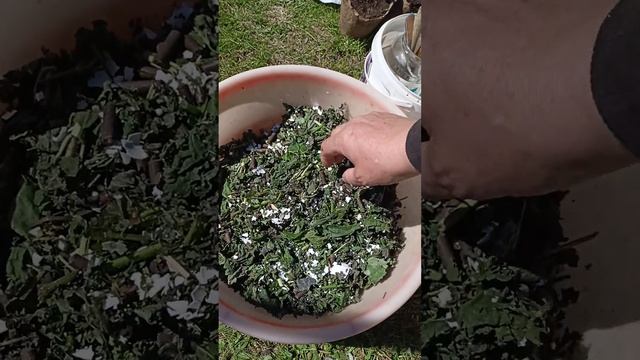 Первая посадка в открытый грунт (Подмосковье) смотреть онлайн