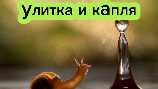 сказка про улитку и каплю для детей смотреть онлайн