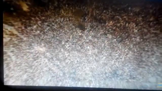 Тест на психику смотреть онлайн