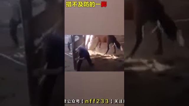 Priqöl 😂😂👍 смотреть онлайн