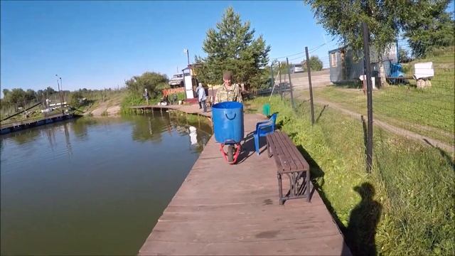 Запуск осетра!!!Клевое Место д.Савельево смотреть онлайн