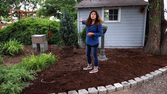 It's Landscape Makeover Time! смотреть онлайн