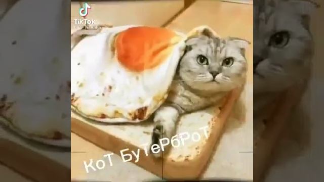 Мышка сосиска крыска ириска кот бутерброд авокадо бегемот смотреть онлайн