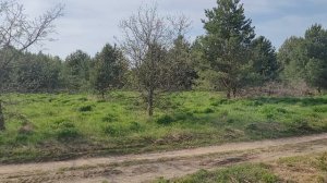Продам свой массив сх участков площадь 68га в д.Овцыно Владимирской области в окружении леса у реки