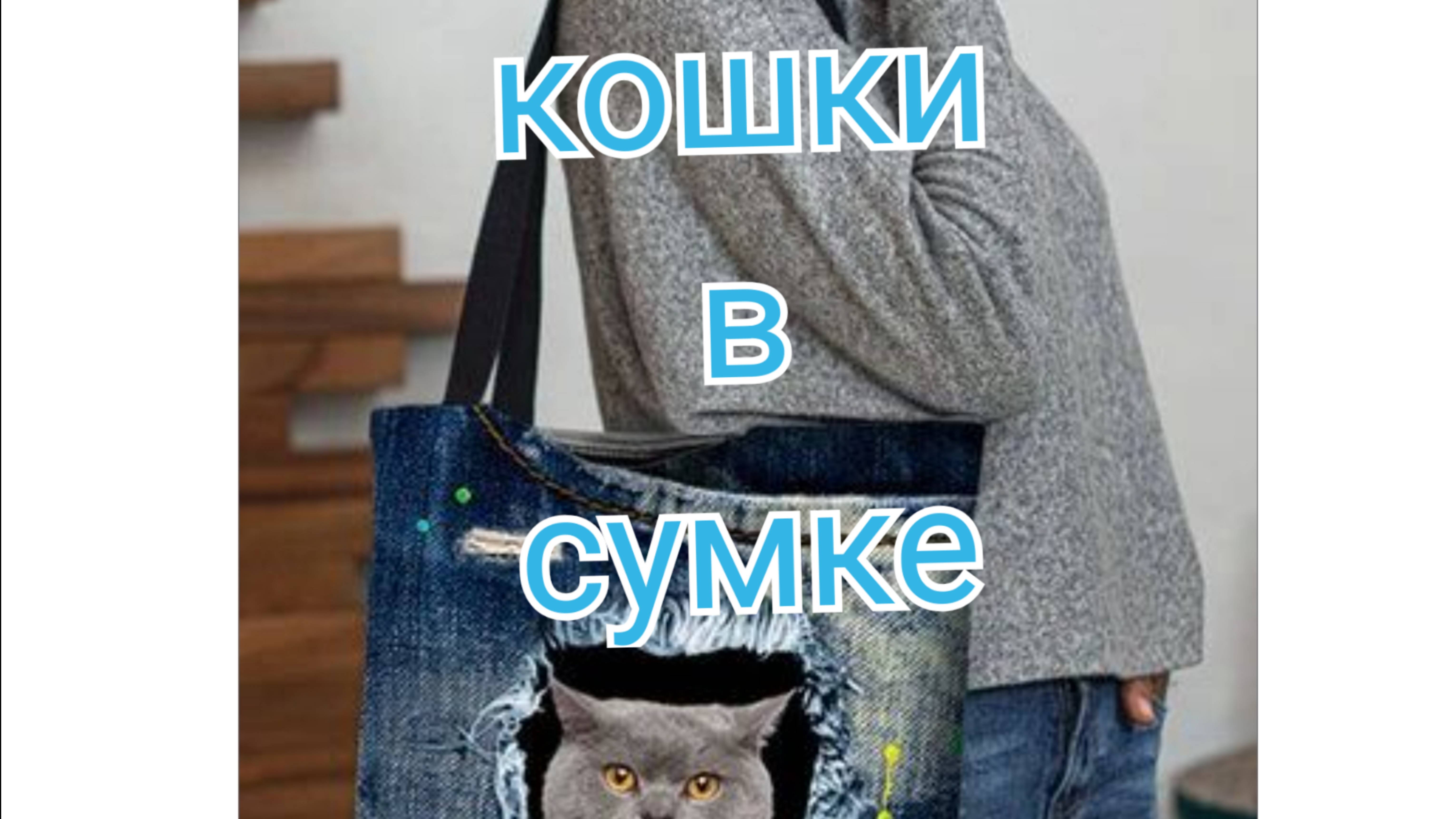 Кошки в сумке. Джинс, пэчворк, аппликация смотреть онлайн