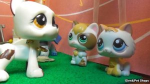 LPS ХРОМАЯ 3 серия
