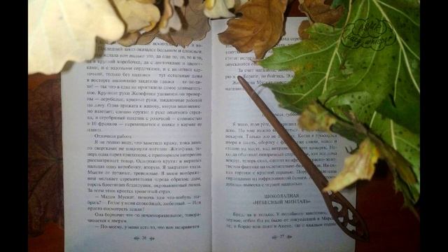 ASMR / АСМР быстрый полуразборчивый шепот / Мягкий неразборчивый шепот / Чтение книги (продолжение) смотреть онлайн