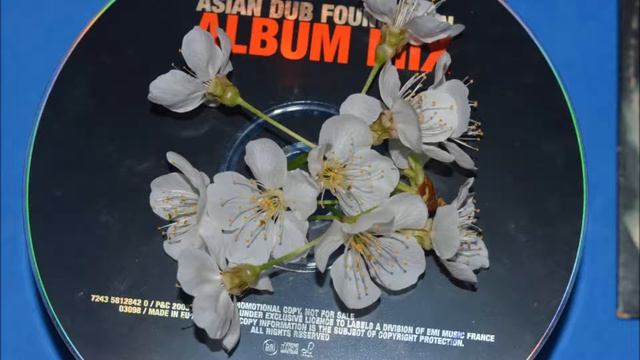 ADF Enemy of the Enemy Album Mix смотреть онлайн