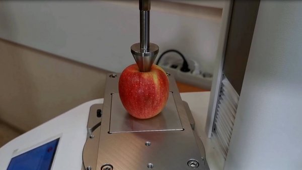 Texture Analyzer TX700