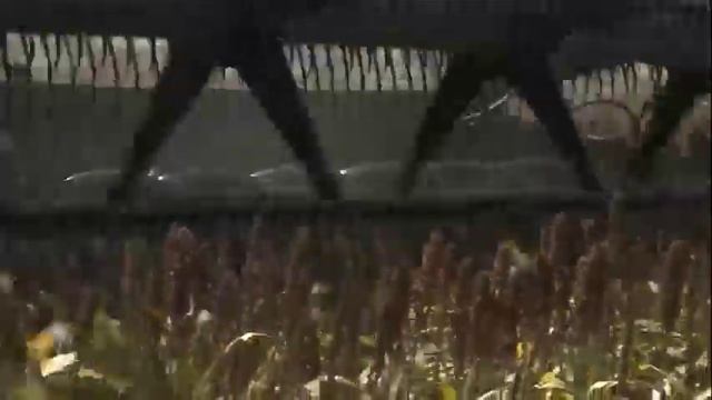 From The Ground Up #1203 Sorghum and Fuel 1 смотреть онлайн