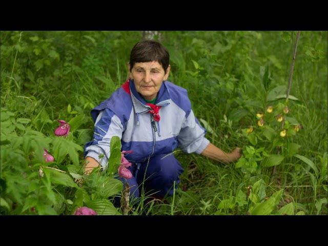 Храм природы Целинного района смотреть онлайн