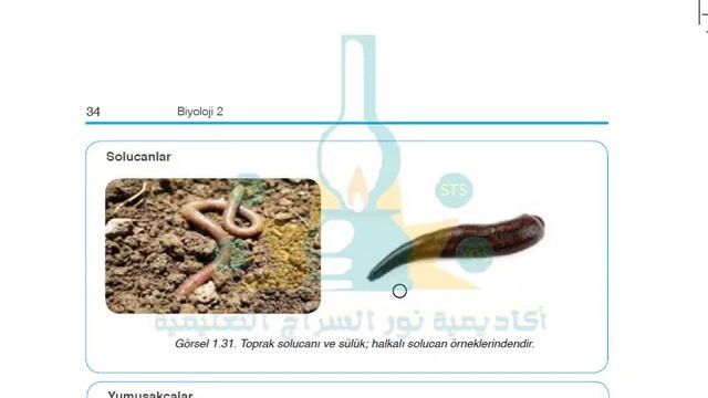 الصف التاسع مادة العلوم بيولوجي2 التعليم المفتوح Açık Öğretim Biyoloji2 9 sınıf 32 36 смотреть онлайн