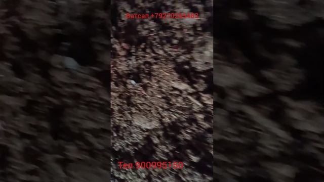 Боз як ҳамкор смотреть онлайн