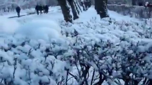 Снег смотреть онлайн