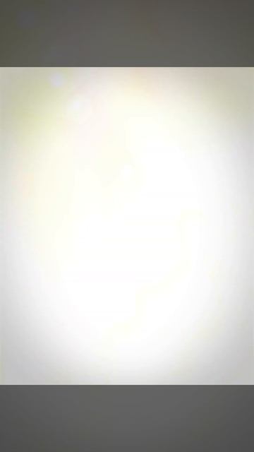 Wedding invitation free template download | free after effect template смотреть онлайн