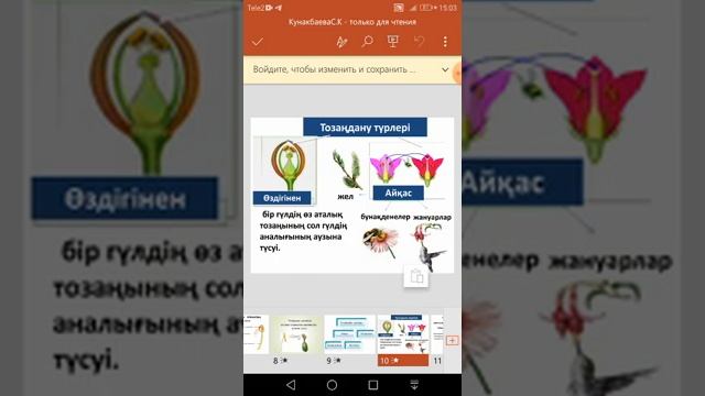 Гүлдің құрылысы смотреть онлайн